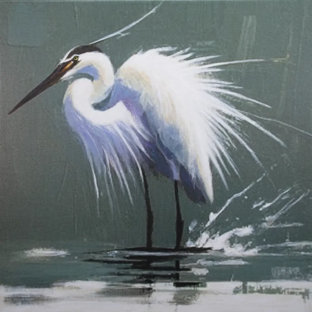 Graceful Egret