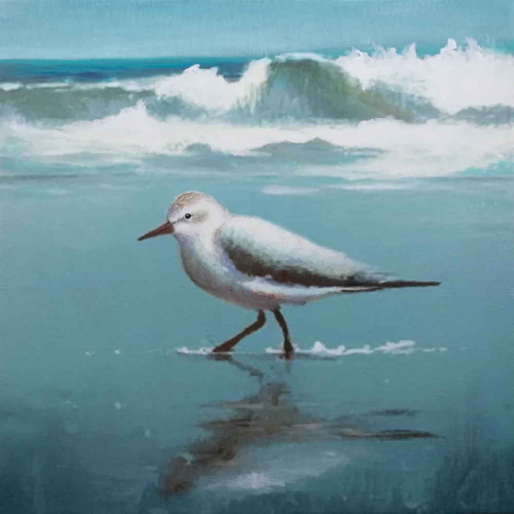 Shoreline Sandpiper II