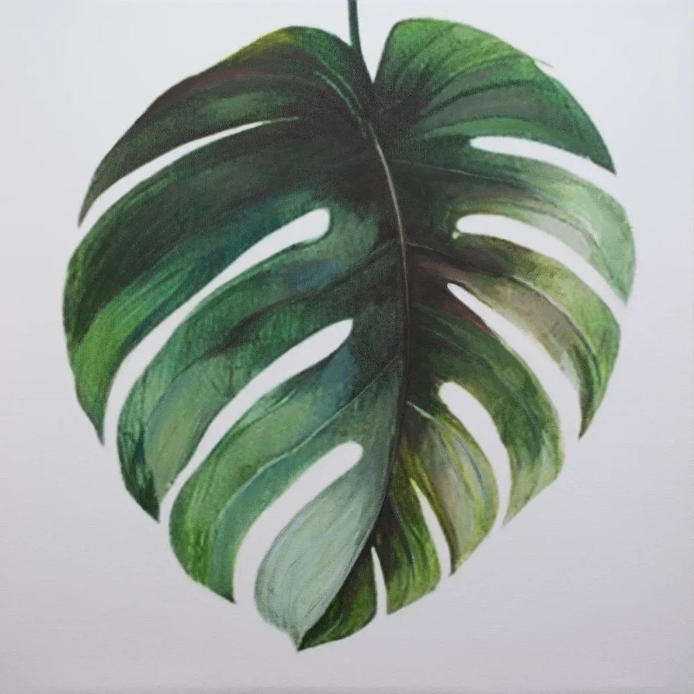 Monstera Study II