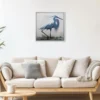 Elegant Heron Study