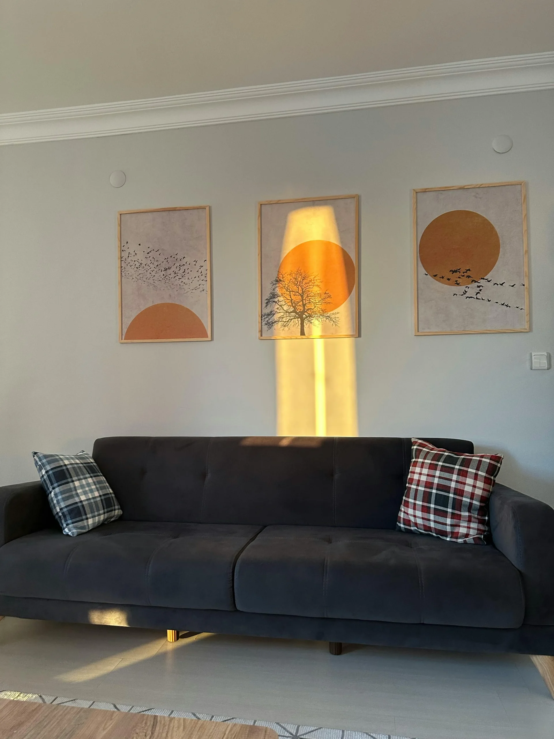 A living room wall receiving warm natural light.
