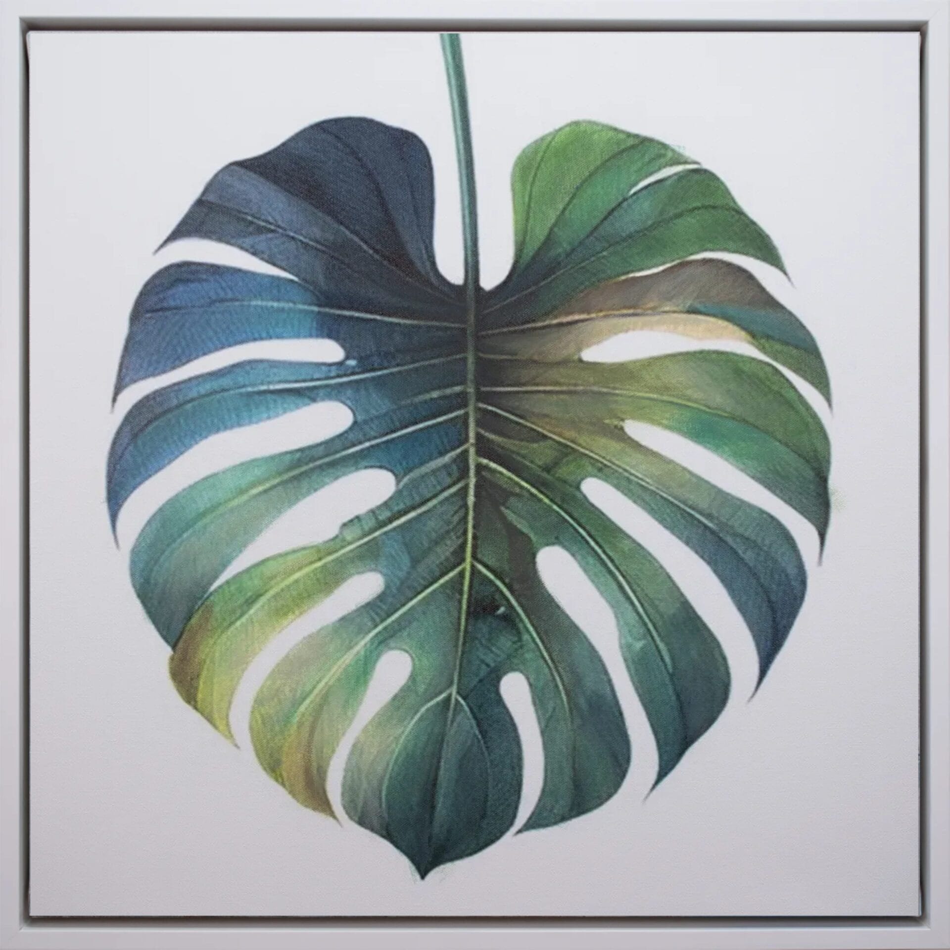 Monstera Study I limited edition botanical artwork 20x20 in white frame by Bonum Art Gallery