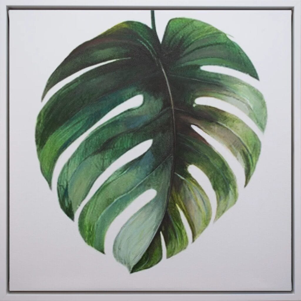 Monstera Study II limited edition botanical artwork 20x20 in white frame by Bonum Art Gallery