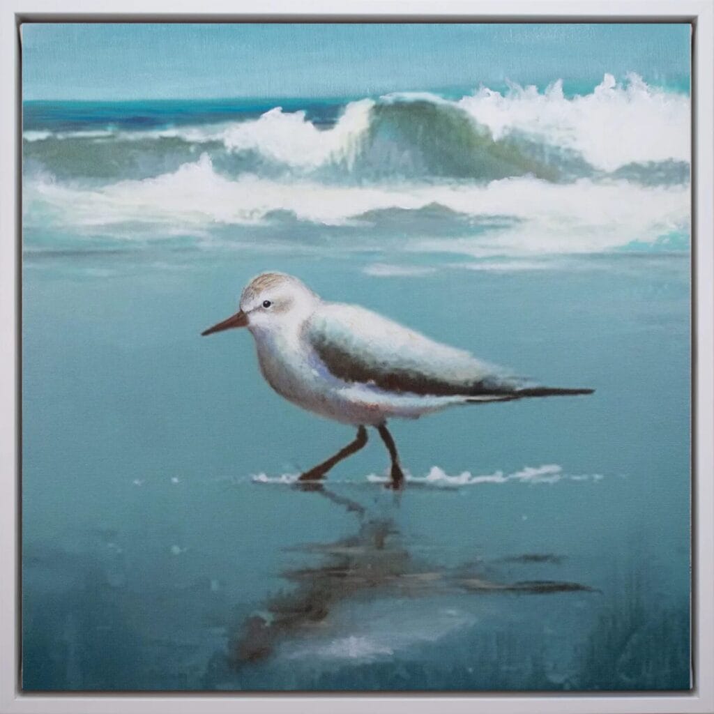Shoreline Sandpiper II limited edition bird artwork 20x20 in white frame by Bonum Art Gallery
