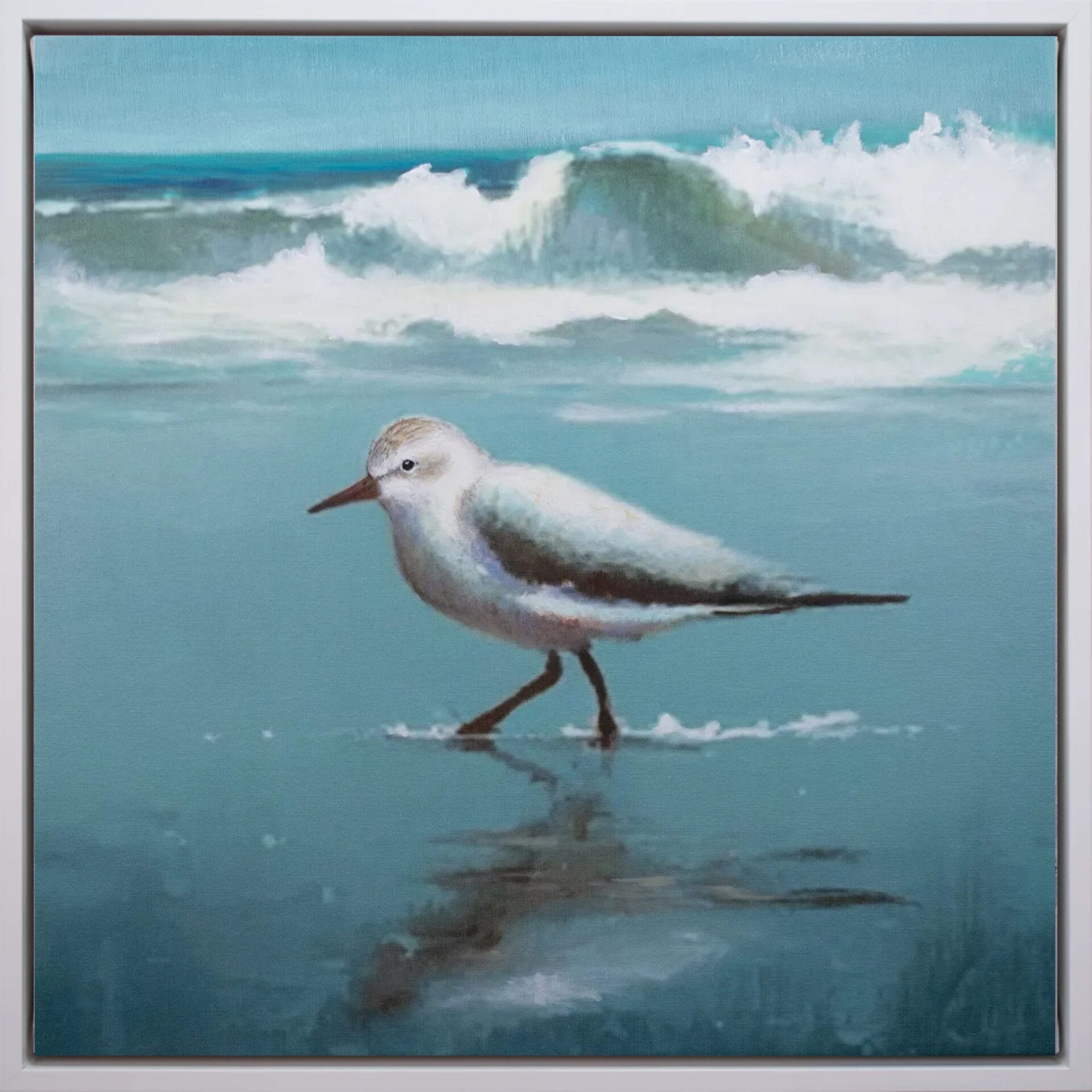 Shoreline Sandpiper II limited edition bird artwork 20x20 in white frame by Bonum Art Gallery